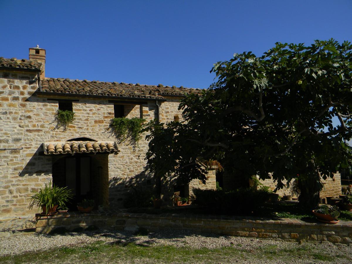 Azienda Agrituristica Colle San Giorgio 카스티글리오네 메세르 라이몬도 외부 사진