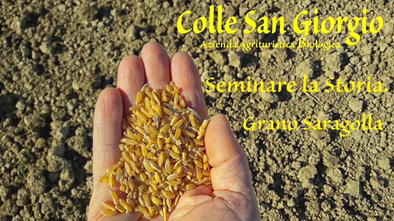 Azienda Agrituristica Colle San Giorgio 카스티글리오네 메세르 라이몬도 외부 사진