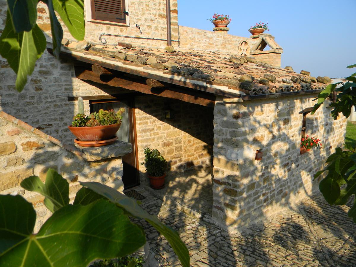 Azienda Agrituristica Colle San Giorgio 카스티글리오네 메세르 라이몬도 외부 사진
