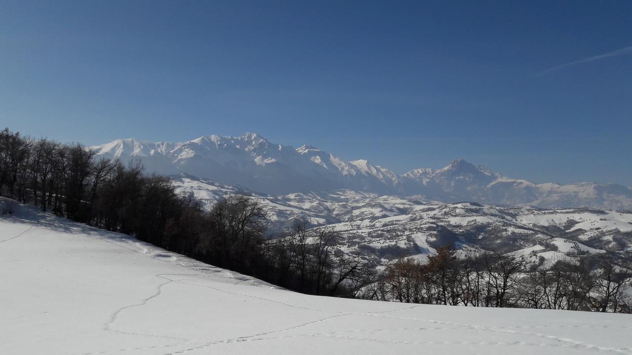 Azienda Agrituristica Colle San Giorgio 카스티글리오네 메세르 라이몬도 외부 사진