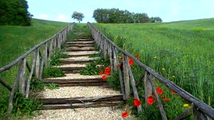 Azienda Agrituristica Colle San Giorgio 카스티글리오네 메세르 라이몬도 외부 사진